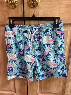 Boy  Blue Flamingo Print Swim Trunks 10-12